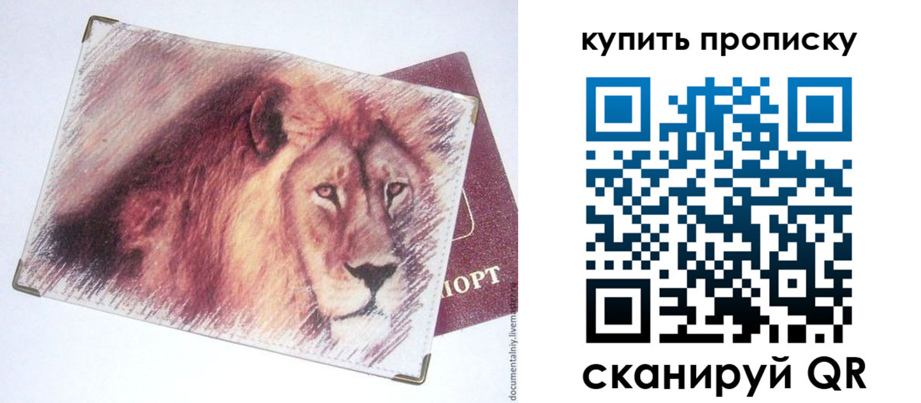 прописка паспорт в Грязях